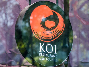 koi